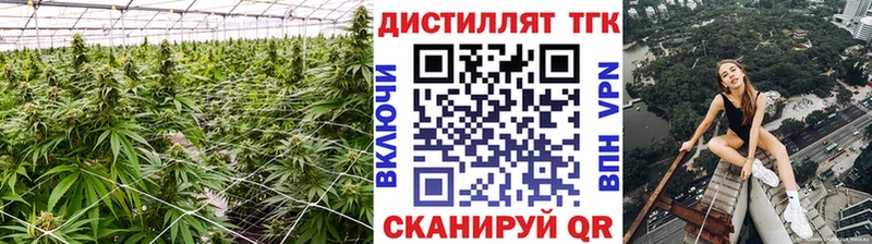 нарко площадка как зайти  Родники  ТГК гашишное масло  где можно купить наркотик 