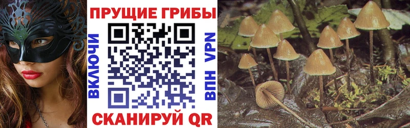 Галлюциногенные грибы GOLDEN TEACHER сколько стоит Родники